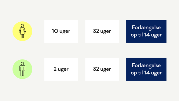 Viser din ret til barsel